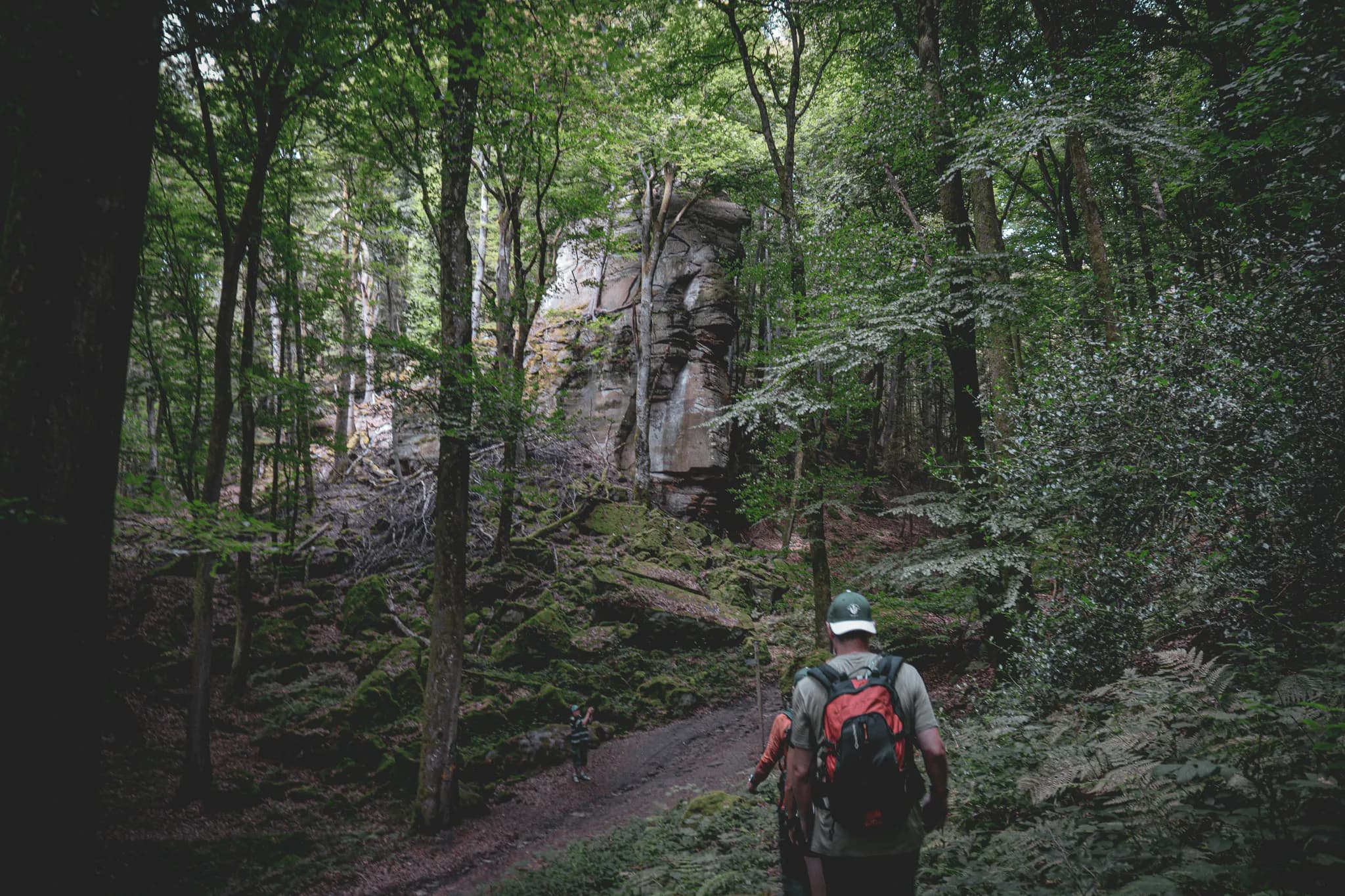 Wandelaars in een groen bos in Klein Zwitserland in Luxemburg, omringd door majestueuze rotsen.