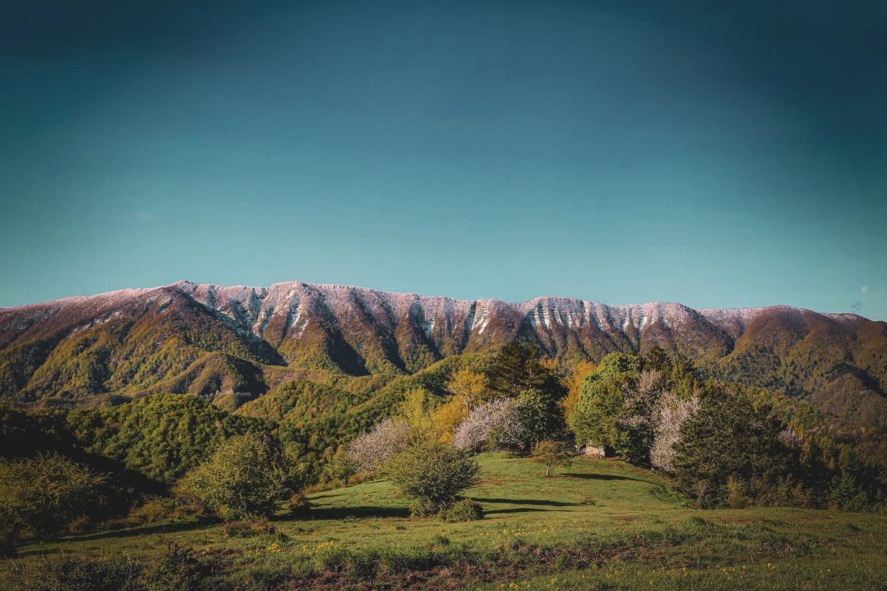 A mountainous panorama with lightly snow-capped peaks, surrounded by green hills. In the foreground, leafy trees, some with white flowers, stretch across the grassy ground.