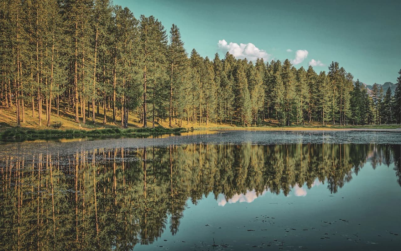 A peaceful lake surrounded by fir trees, a reflection of the mountains, an invitation to escape to the Queyras.
