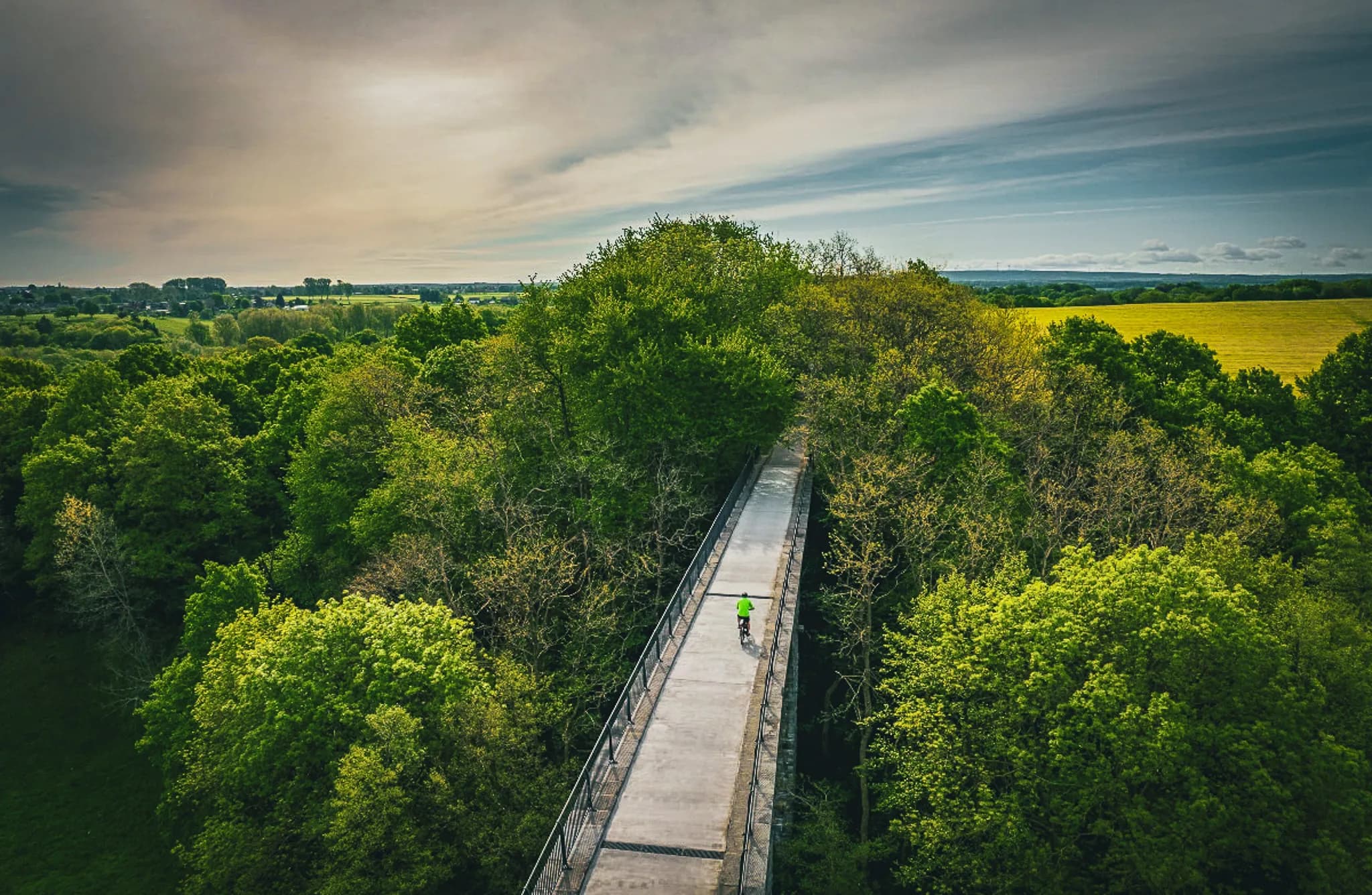 A raised concrete path winds through a dense green forest, offering panoramic views of the lush trees. At centre stage, a cyclist in a green jersey pedals along the path,