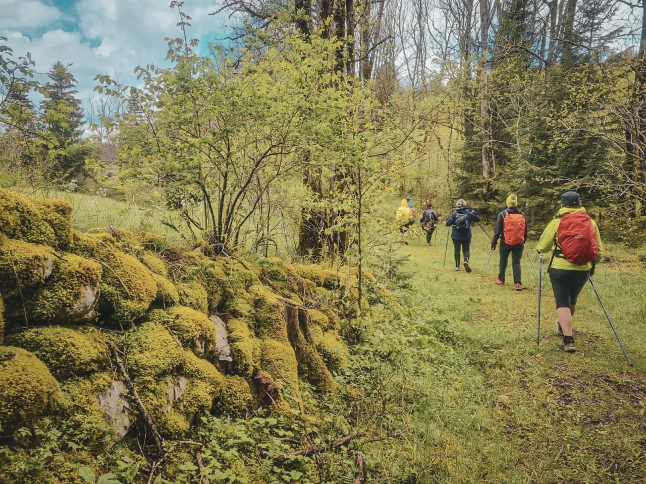 A group of hikers on a green trail in the Jura, surrounded by moss and lush nature.