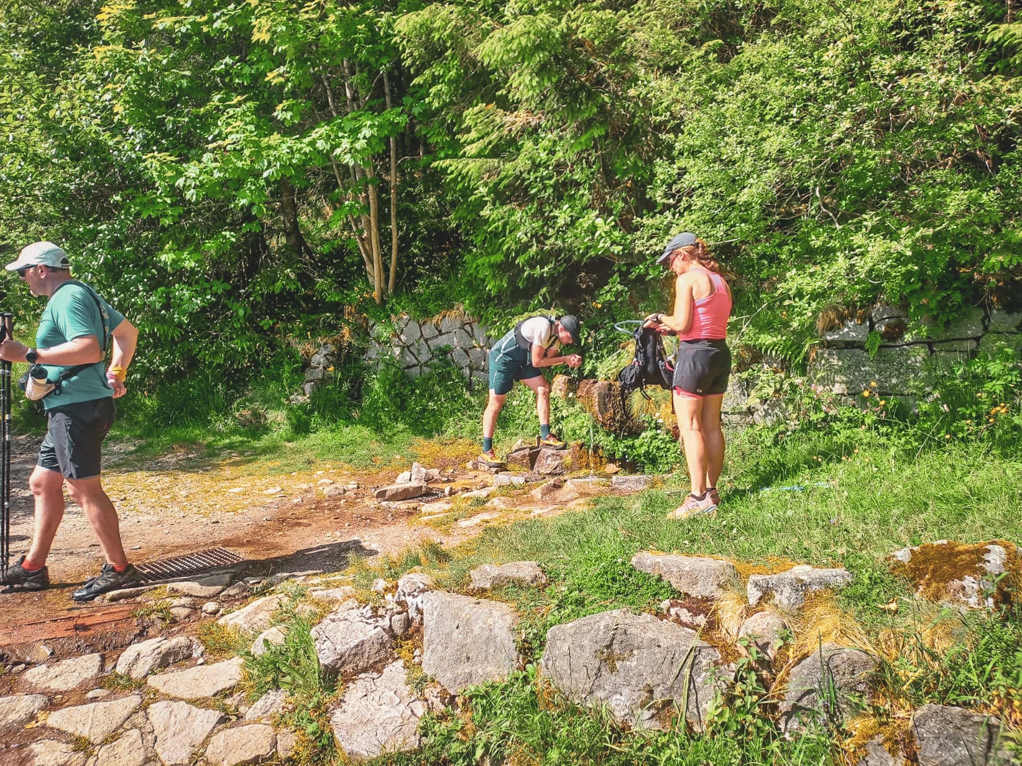 A group immersed in nature in the Vosges, enjoying hiking and the lush green landscape.