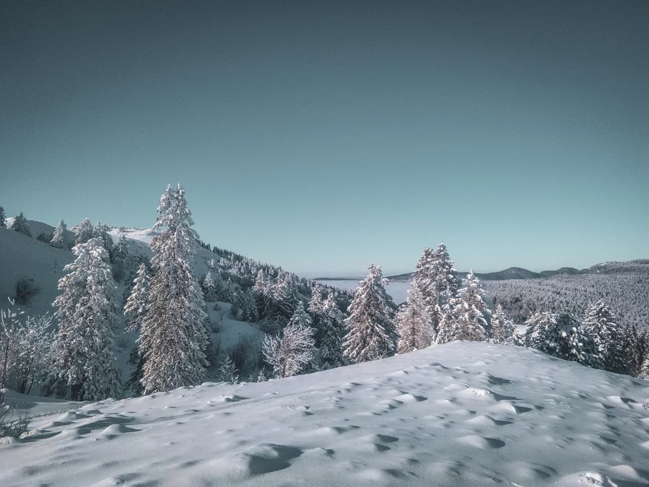 Paysage hivernal enchanteur dans le Jura suisse, avec des arbres enneigés sous un ciel clair.