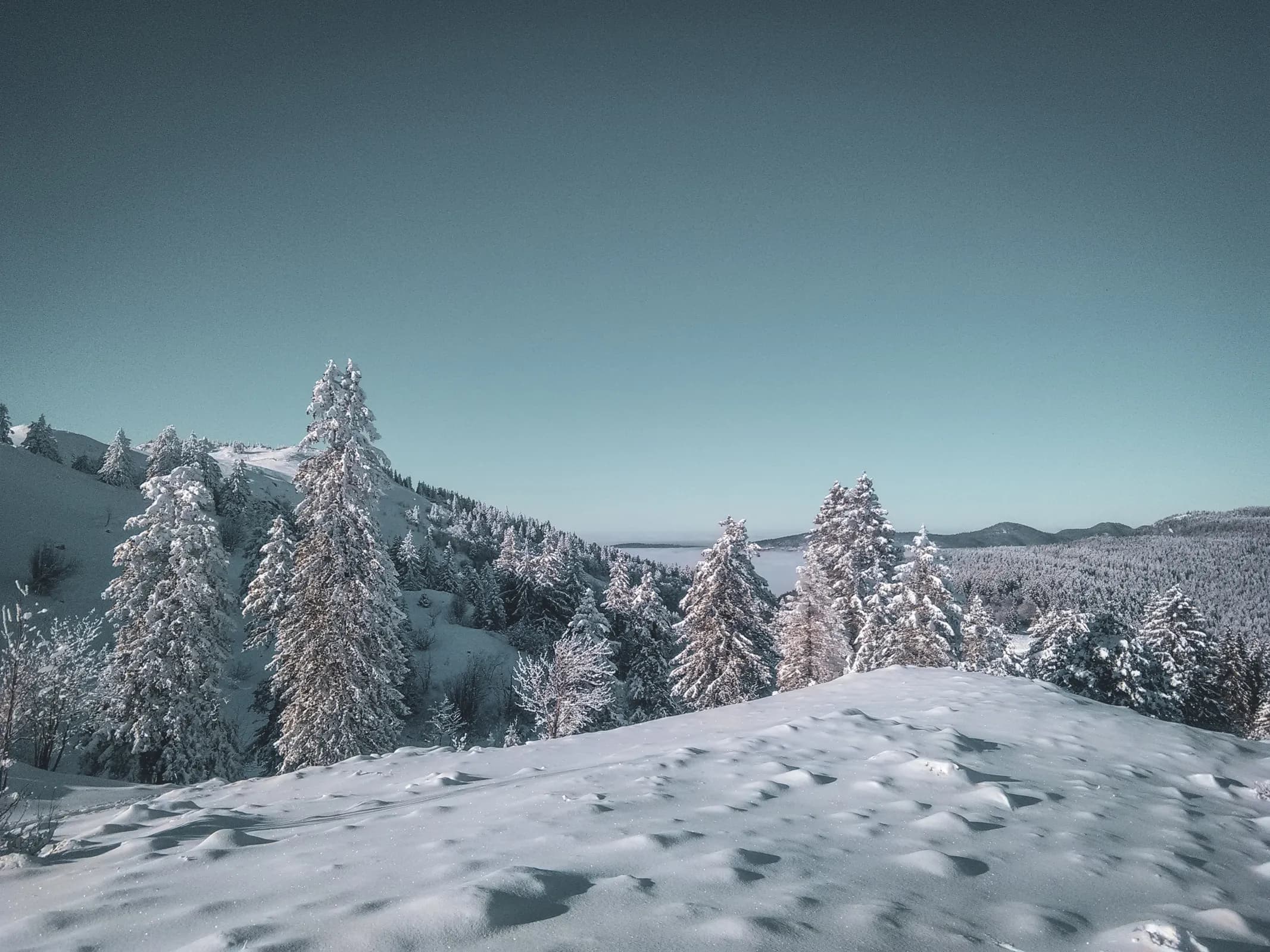 Paysage hivernal enchanteur dans le Jura suisse, avec des arbres enneigés sous un ciel clair.