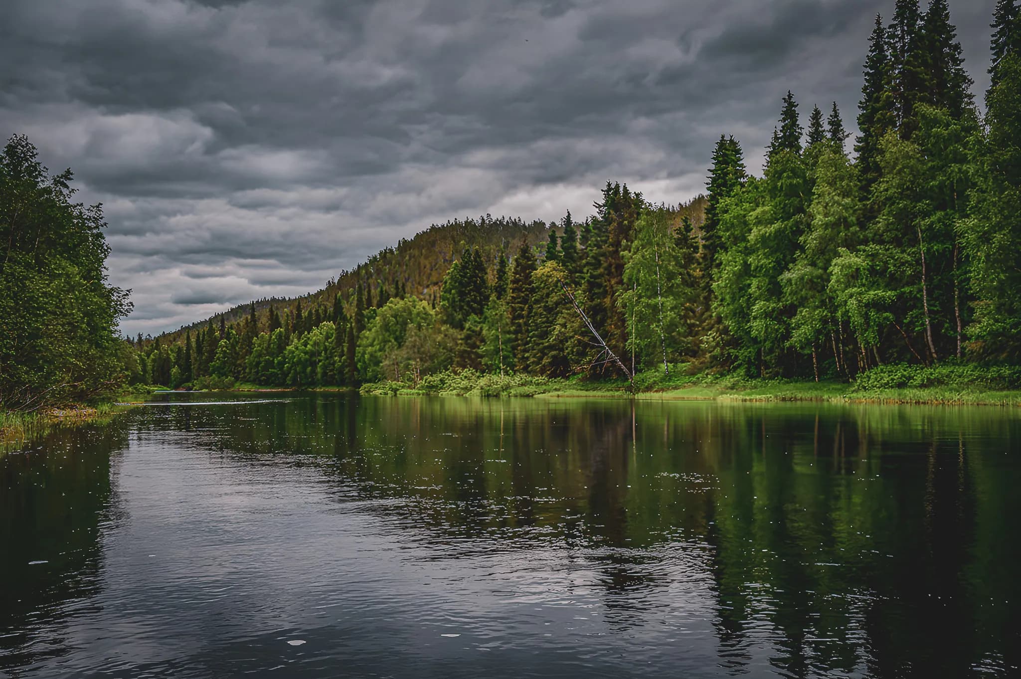 A peaceful river surrounded by lush greenery, cloudy skies and a wild, serene atmosphere.