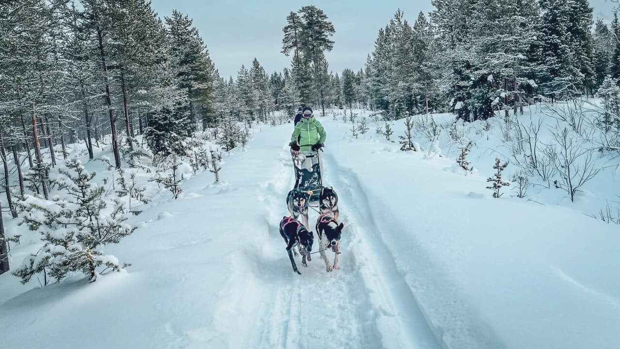 A musher guides a team of sled dogs through a magnificent snowy landscape.
