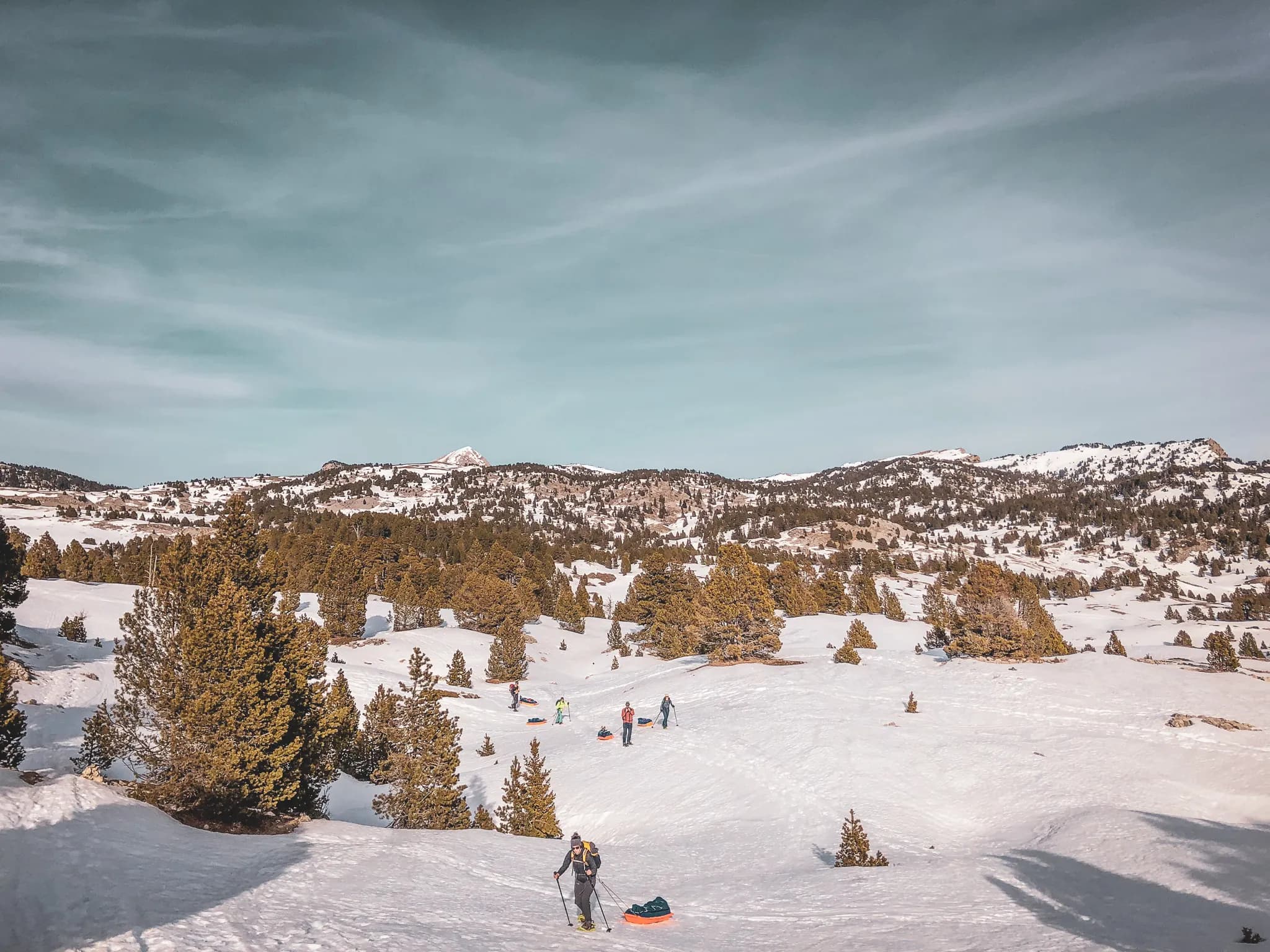 A snowy landscape with mountains in the background under a slightly cloudy sky. In the foreground, fir trees dot the snow-covered white terrain. A number of people, dressed for skiing, are