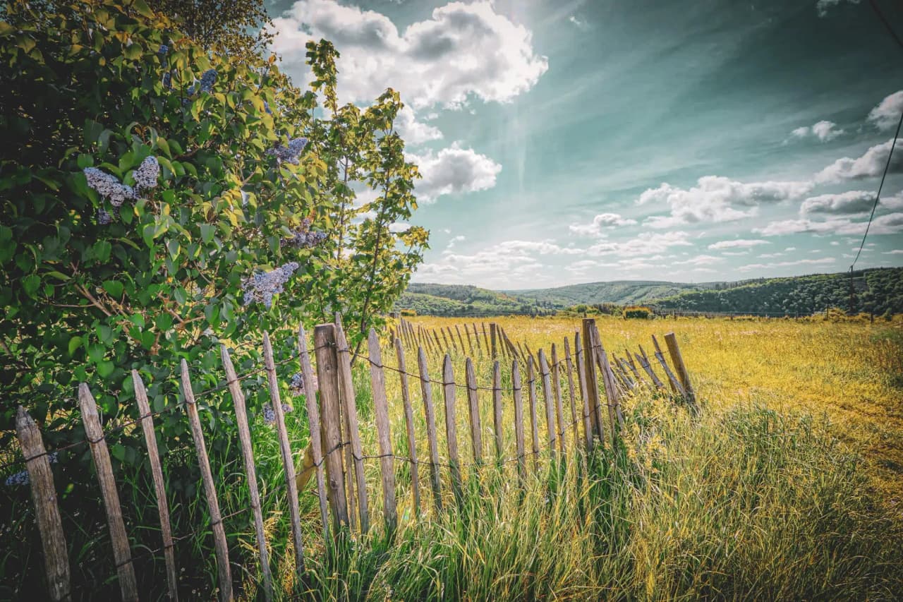 Vaste paysage ardennais, avec une clôture en bois et des fleurs, invitant à l'aventure en nature.