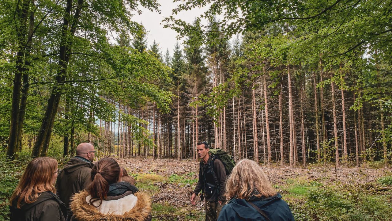 Groupe de personnes écoutant un guide dans la forêt de Saint Hubert, ambiance nature captivante.