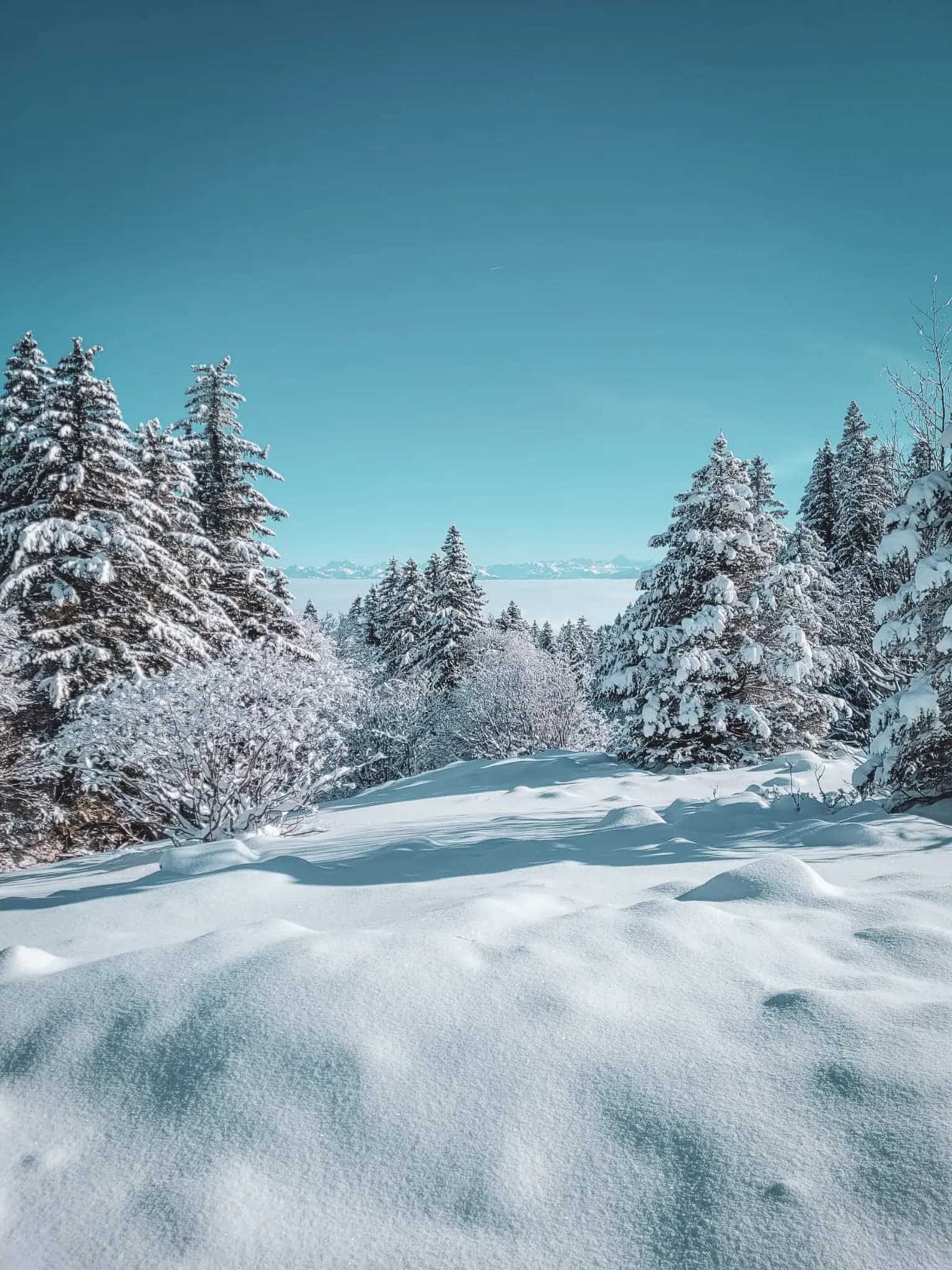 Het besneeuwde landschap van de Zwitserse Jura, majestueuze bossen onder een stralend blauwe hemel. Een echt toevluchtsoord.