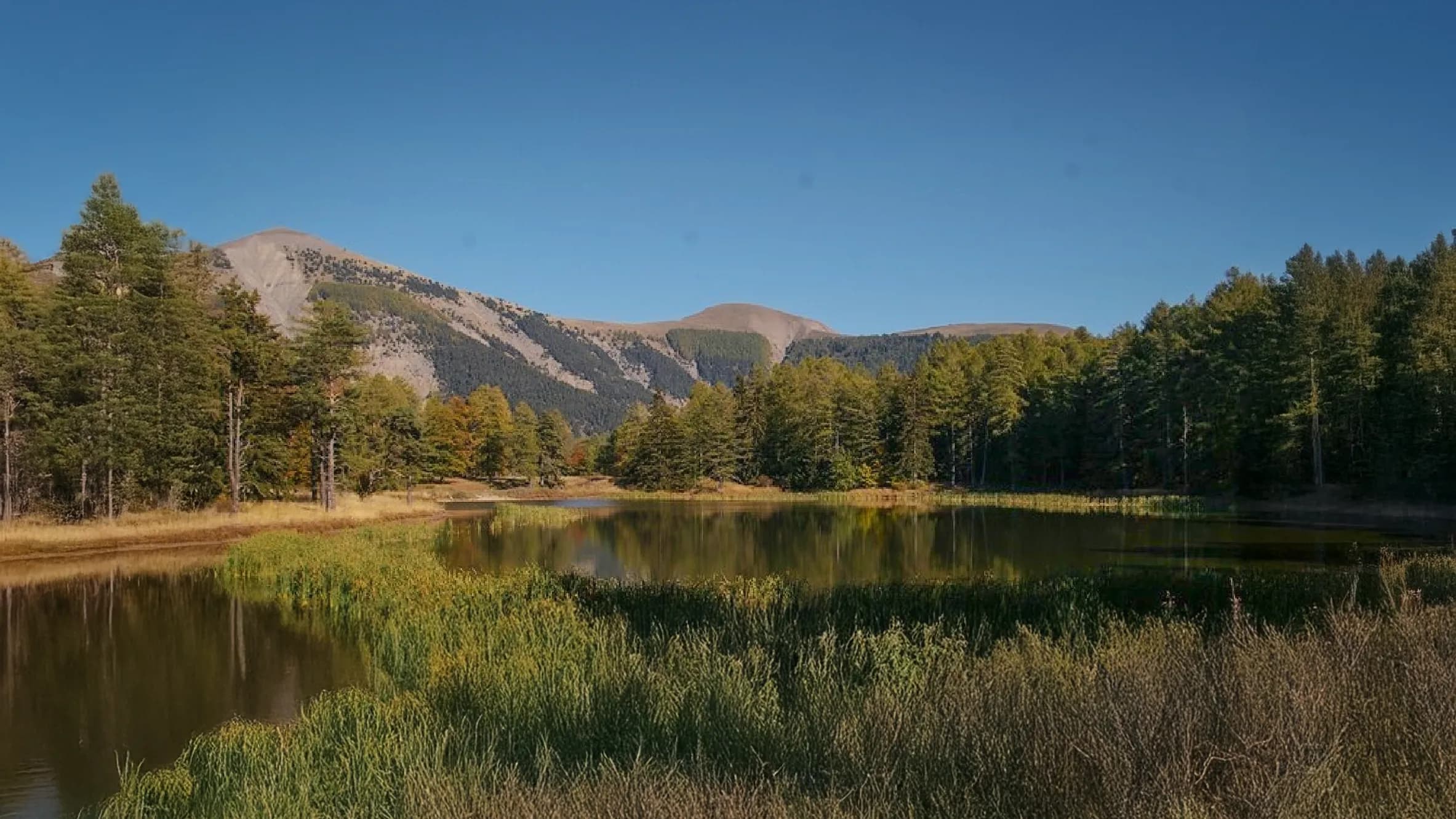 A natural landscape with a pond surrounded by trees, reflecting the mountains in the background. The mountain slopes are covered with conifers, while the ground is dotted with grassy areas and