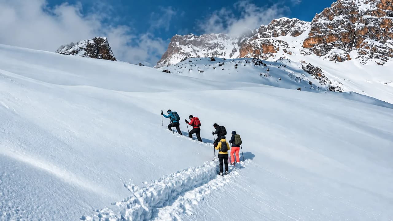 Een groep met sneeuwschoenen trekt door een besneeuwd landschap onder een blauwe hemel, met uitzicht op het majestueuze Écrins-gebergte.