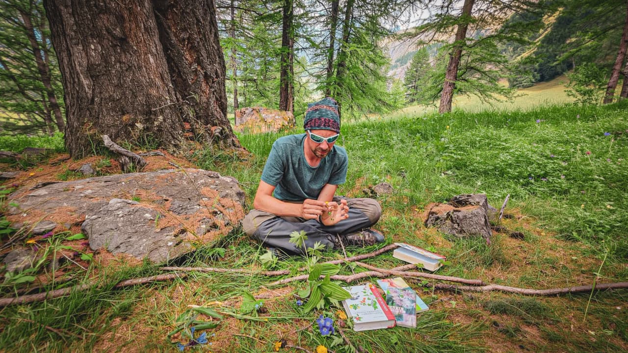Homme assis sous un arbre en pleine nature, explorant des plantes avec des livres de guide, ambiance relaxante et d'aventure.