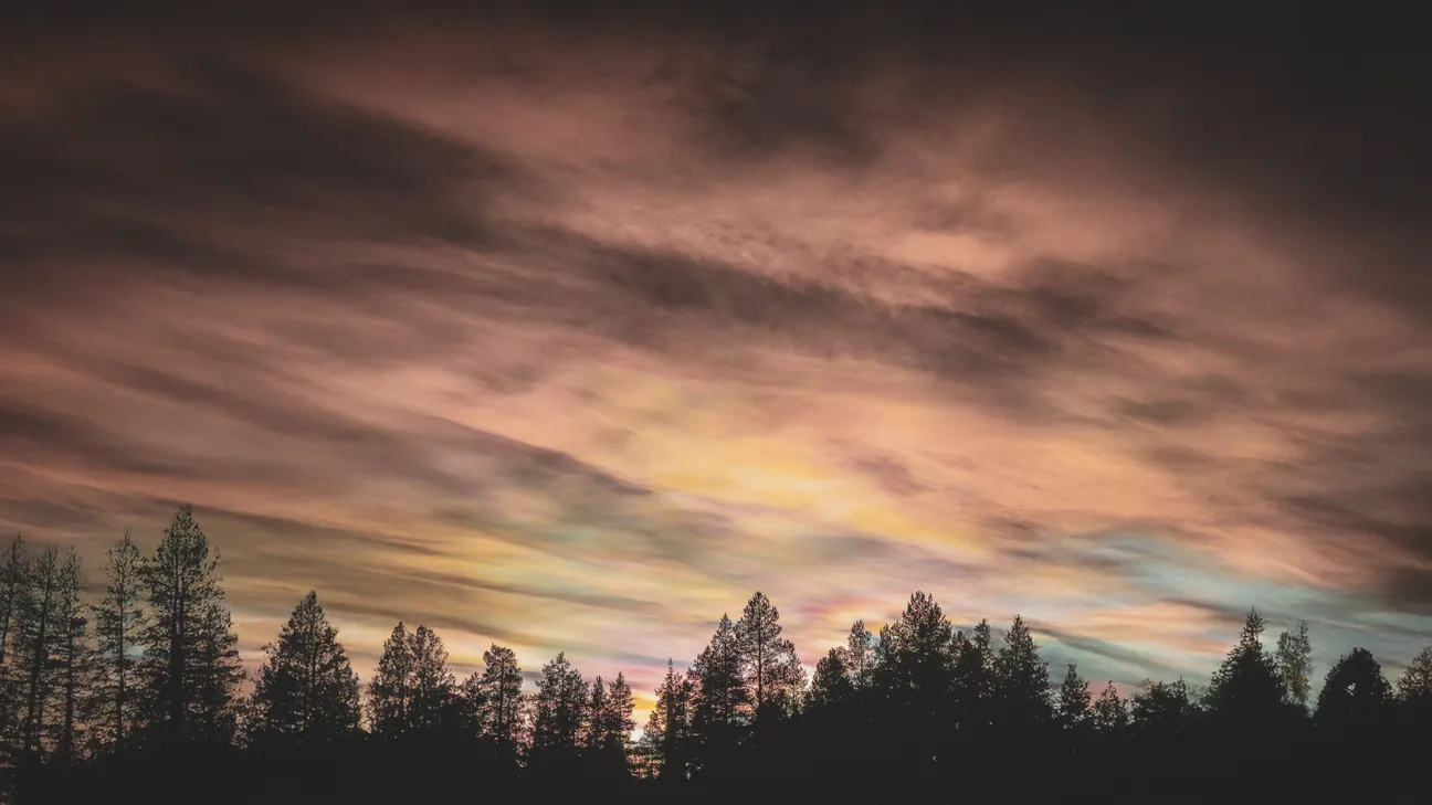 Ciel coloré au crépuscule au-dessus de silhouettes d'arbres dans la Laponie finlandaise.