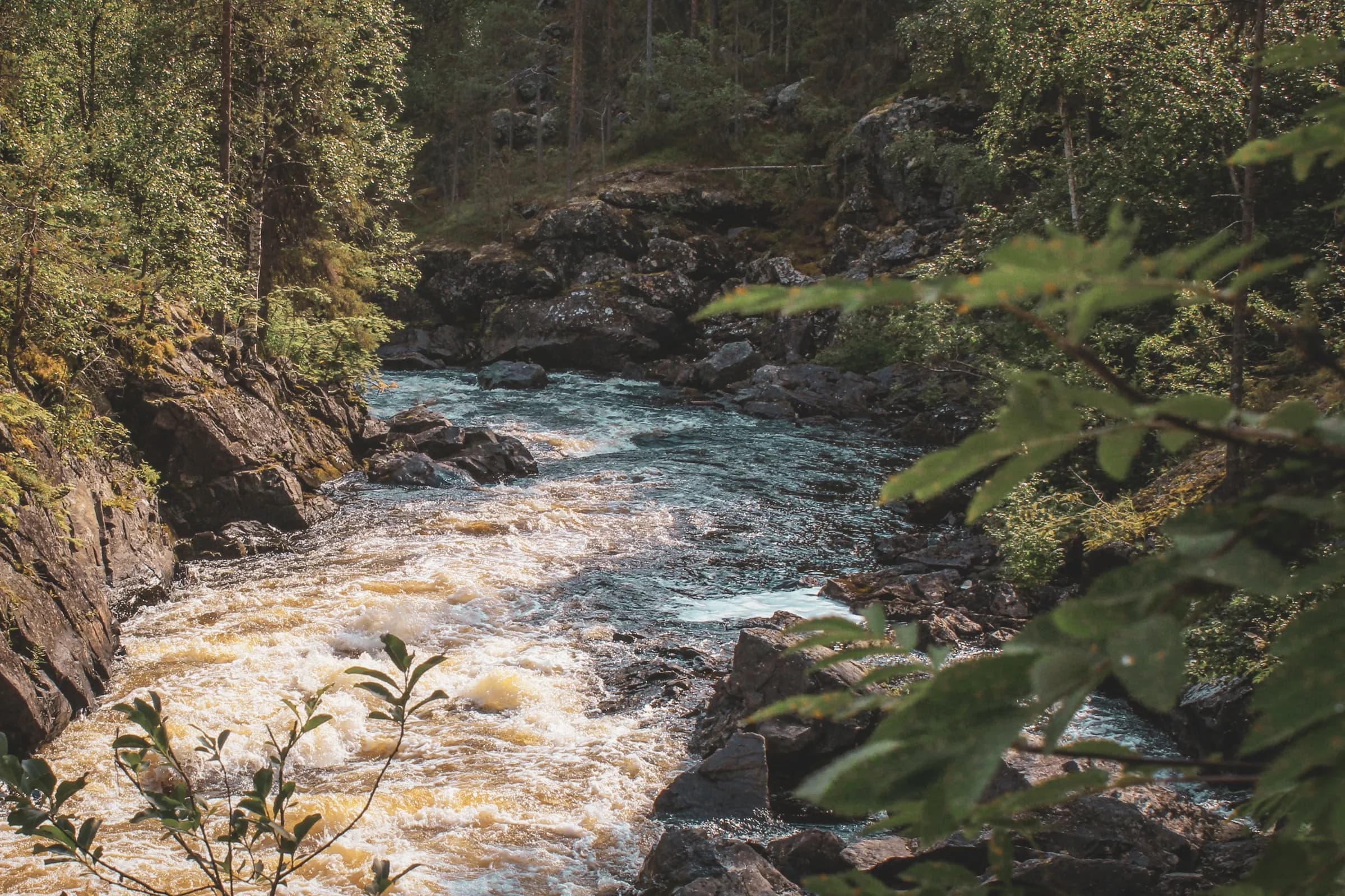 The wild river of Oulanka, surrounded by rocks and greenery, an invitation to adventure in Lapland.