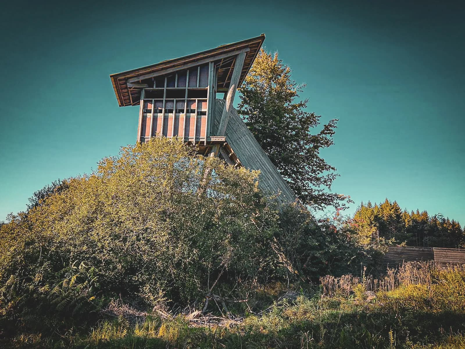 A modern architectural structure set on a dramatically sloping hillside. The wooden structure features large windows and a sloping roof, surrounded by lush vegetation including bushes and trees.