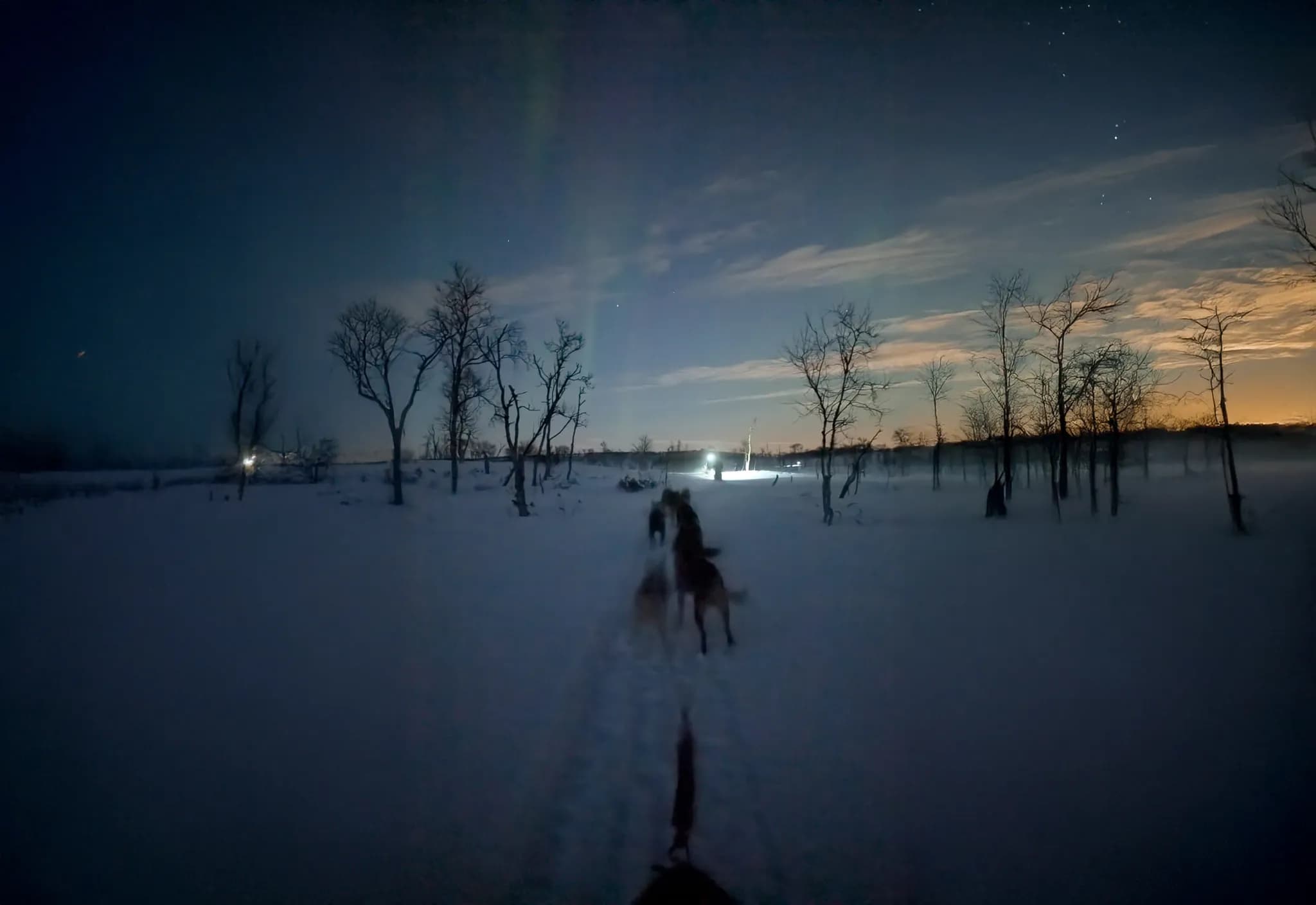 A snowy nightscape with bare tree silhouettes, lightly illuminated by a glow from a group in the distance. Snow covers the ground and creates a mortuary effect, while tracks