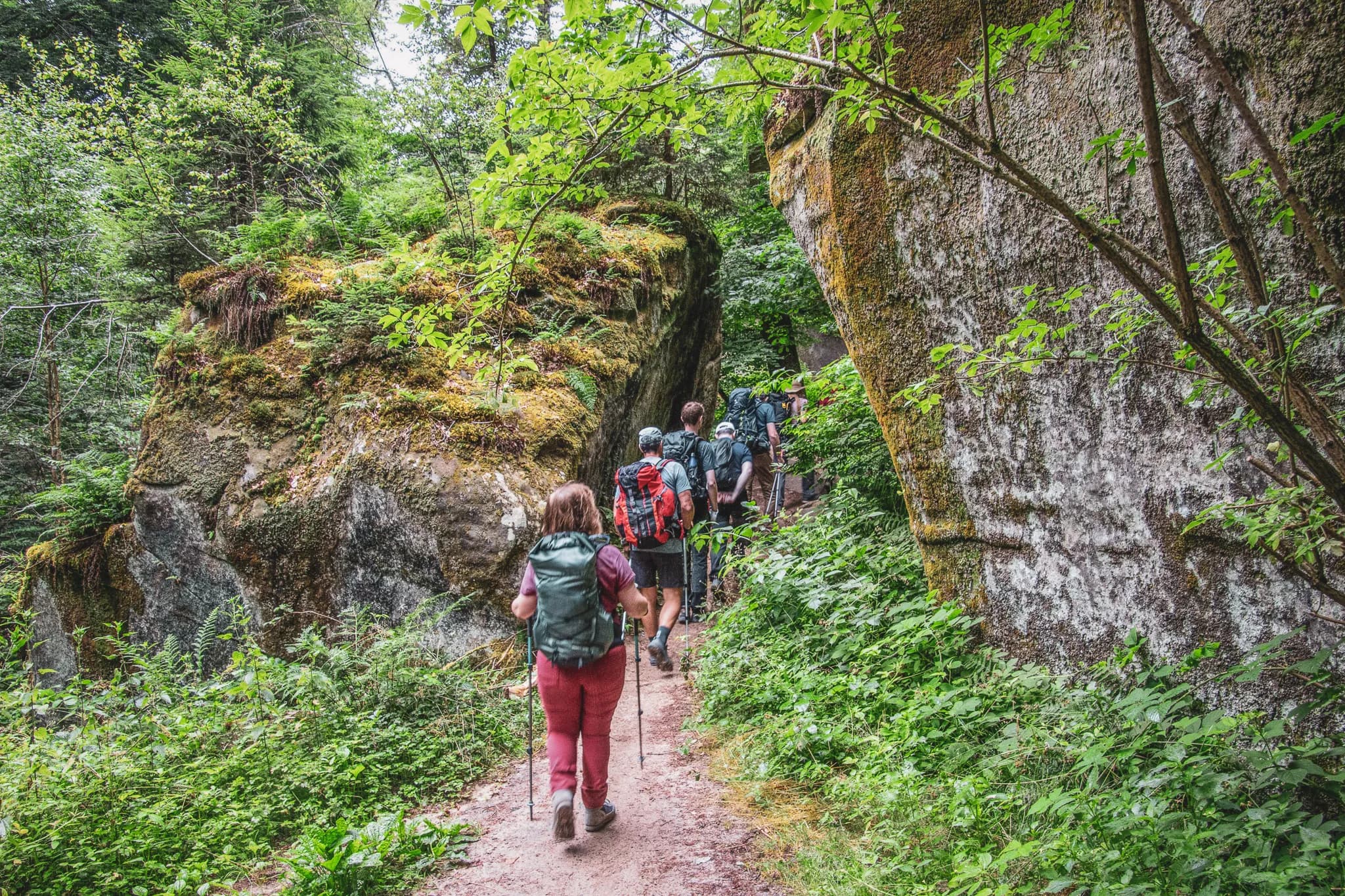 A group of hikers exploring an enchanting trail in Luxembourg's Little Switzerland.