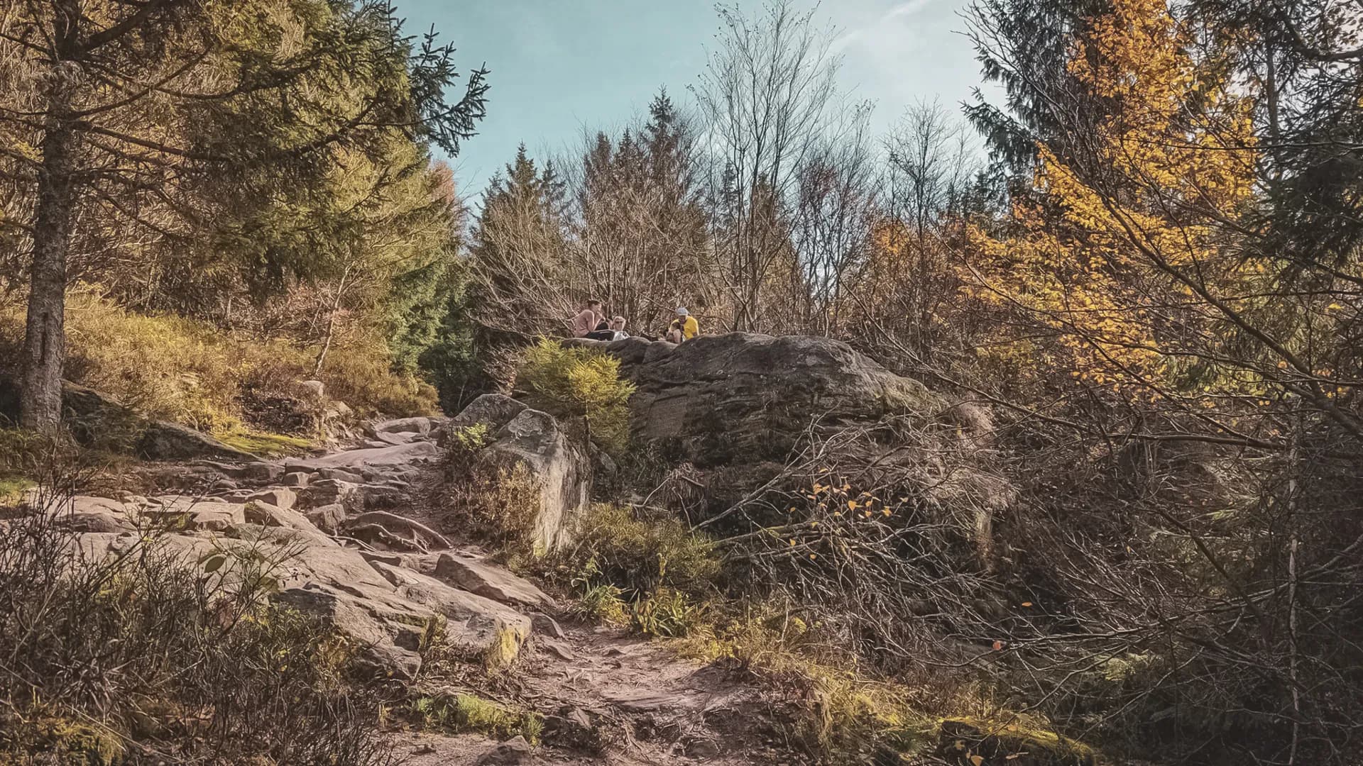 Two hikers rest on rocks, surrounded by the autumn forest of the Vosges.