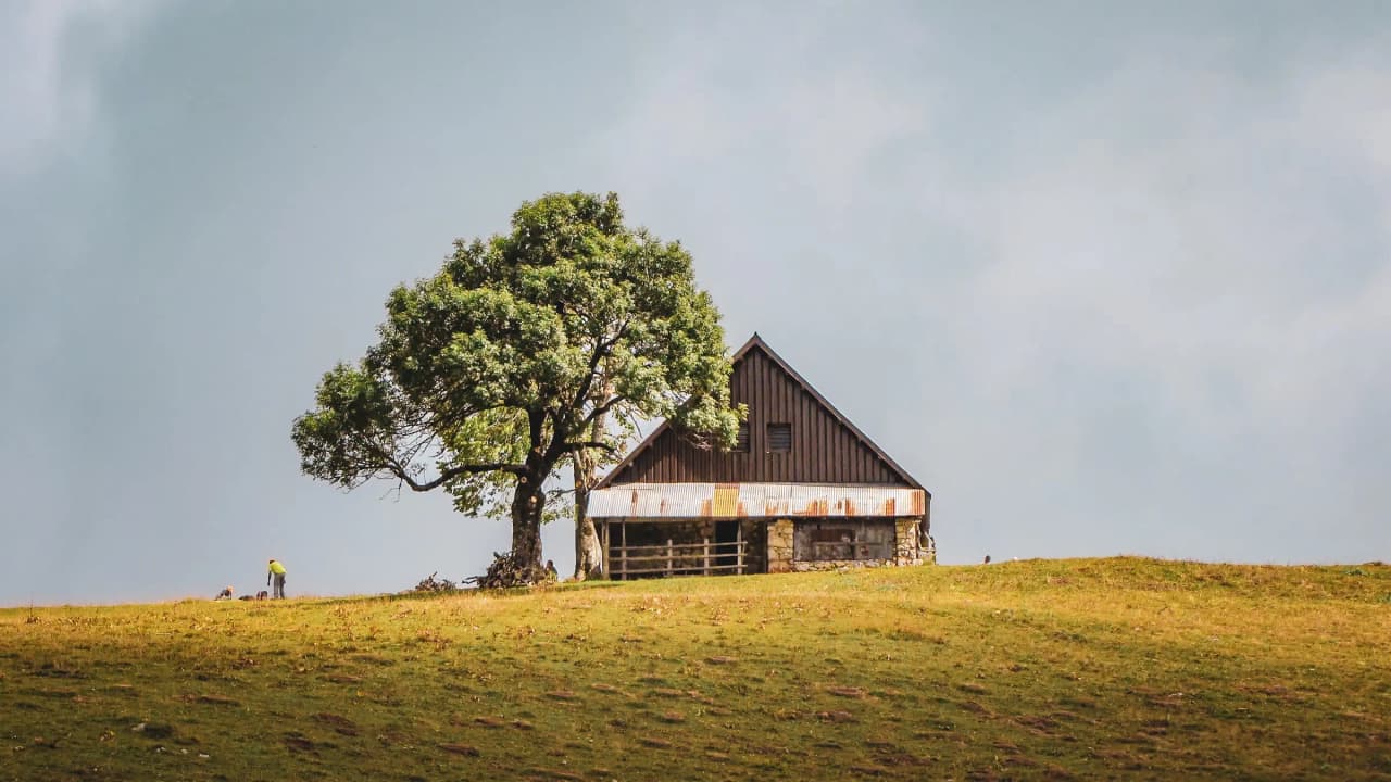 Une cabane pittoresque sous un arbre, sur une colline verdoyante, invitant à l'évasion.