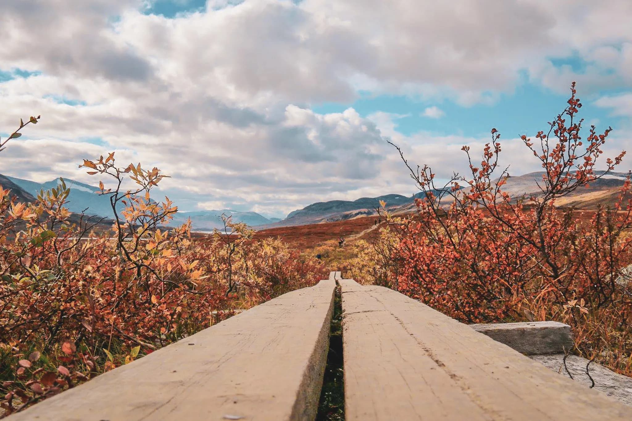 A wooden path stretches across a natural landscape. At the sides, bushes with autumn-coloured leaves, ranging from yellow to orange, create a warm atmosphere. In the background