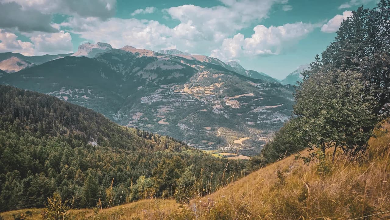 Un panorama époustouflant des Alpes, entre forêts verdoyantes et sommets majestueux.