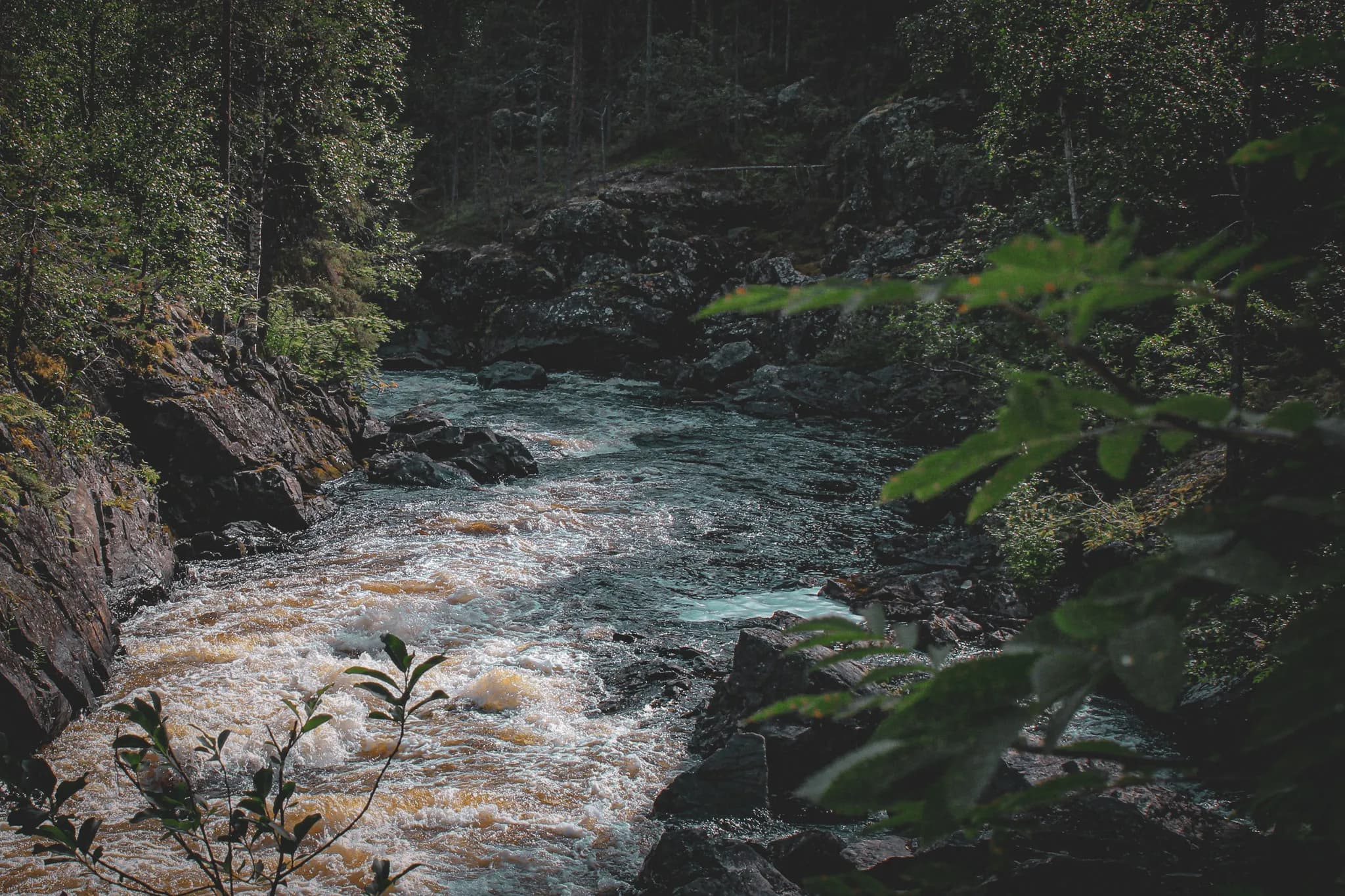A wild river surrounded by rocks and greenery, a true haven of peace in Lapland.