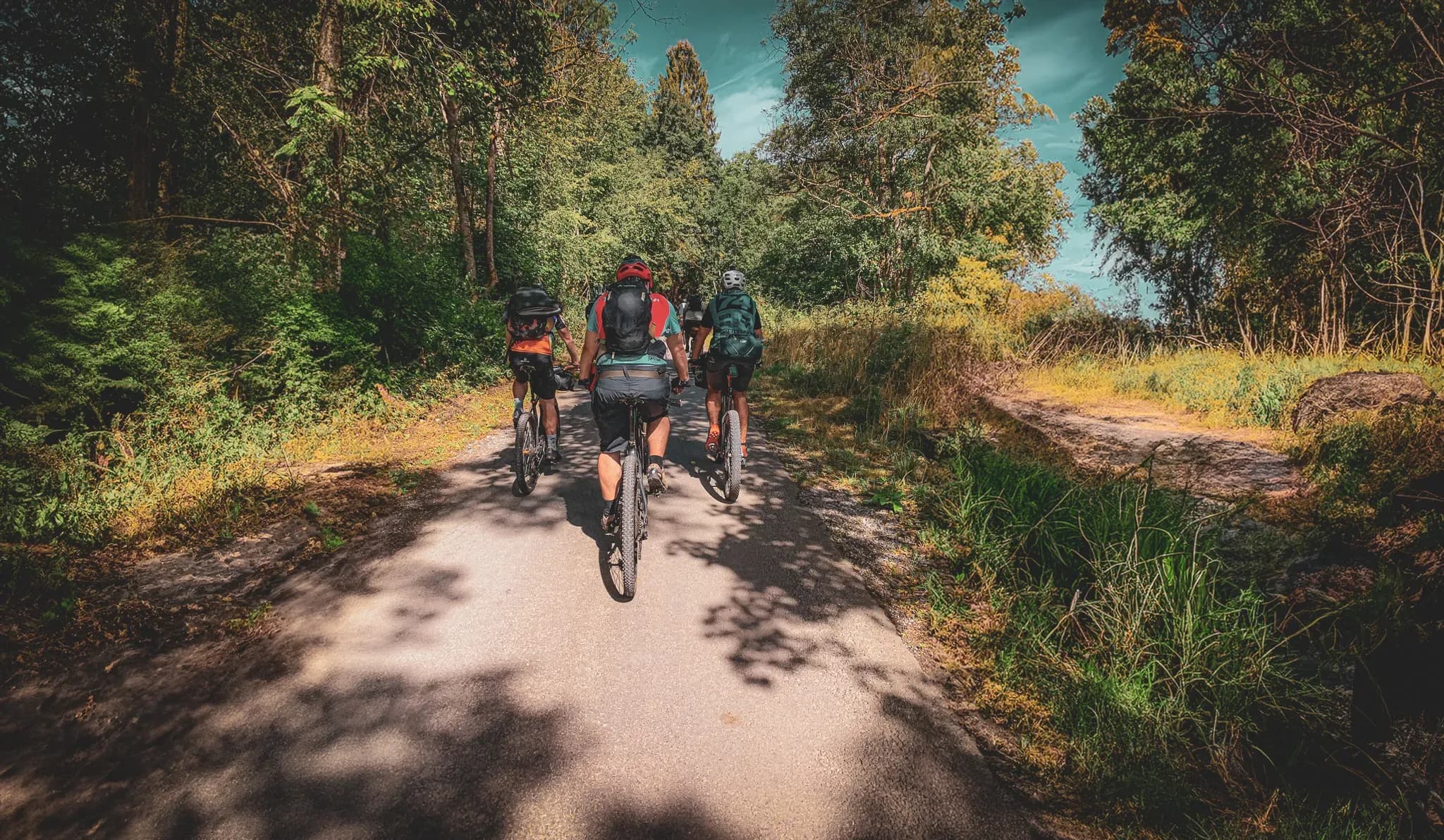 A group of cyclists ride along a path lined with green trees. They cycle along a gravel road in natural light, creating a play of light and shadow. The cyclists are carrying bags