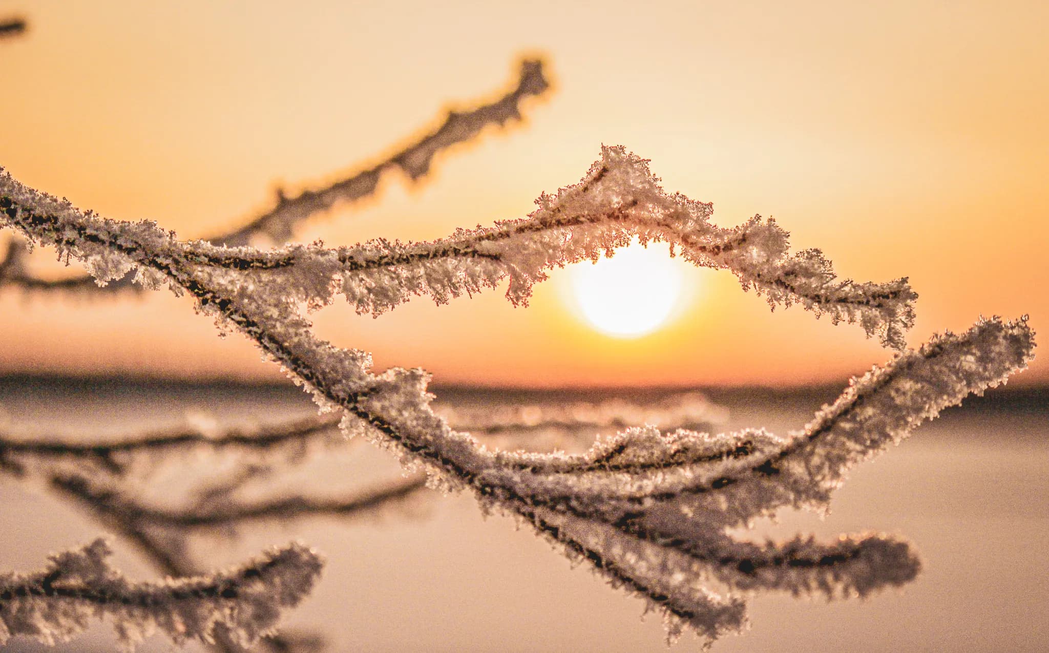 Frost-covered tree branches stand out against a sunrise. The orange and pink light of the sun reflects off the surrounding snow, creating a peaceful, wintry atmosphere.