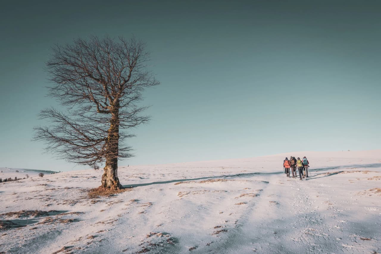 A group on snowshoes making their way through a snow-covered landscape under a clear, serene sky.