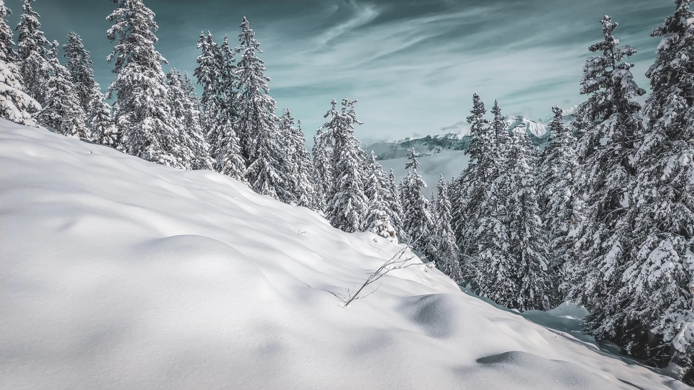 Forêt enneigée dans les Bauges, panorama alpin majestueux et ambiance sereine. Évasion hivernale.