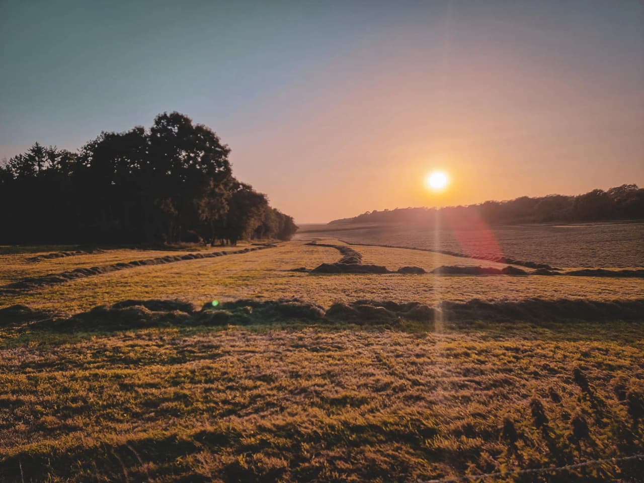 Coucher de soleil sur une prairie verdoyante, bordée d’arbres, invitation à l’aventure en nature.