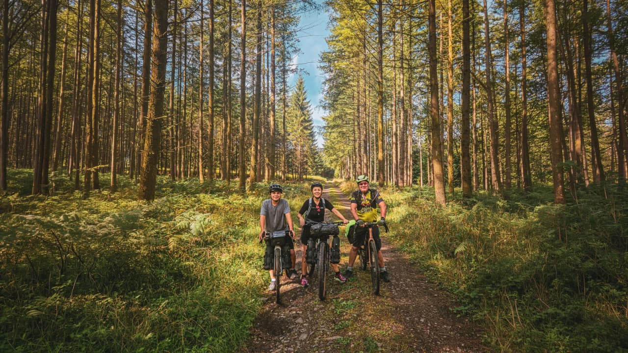 Three happy cyclists on a sunny forest track, surrounded by Ardennes greenery.