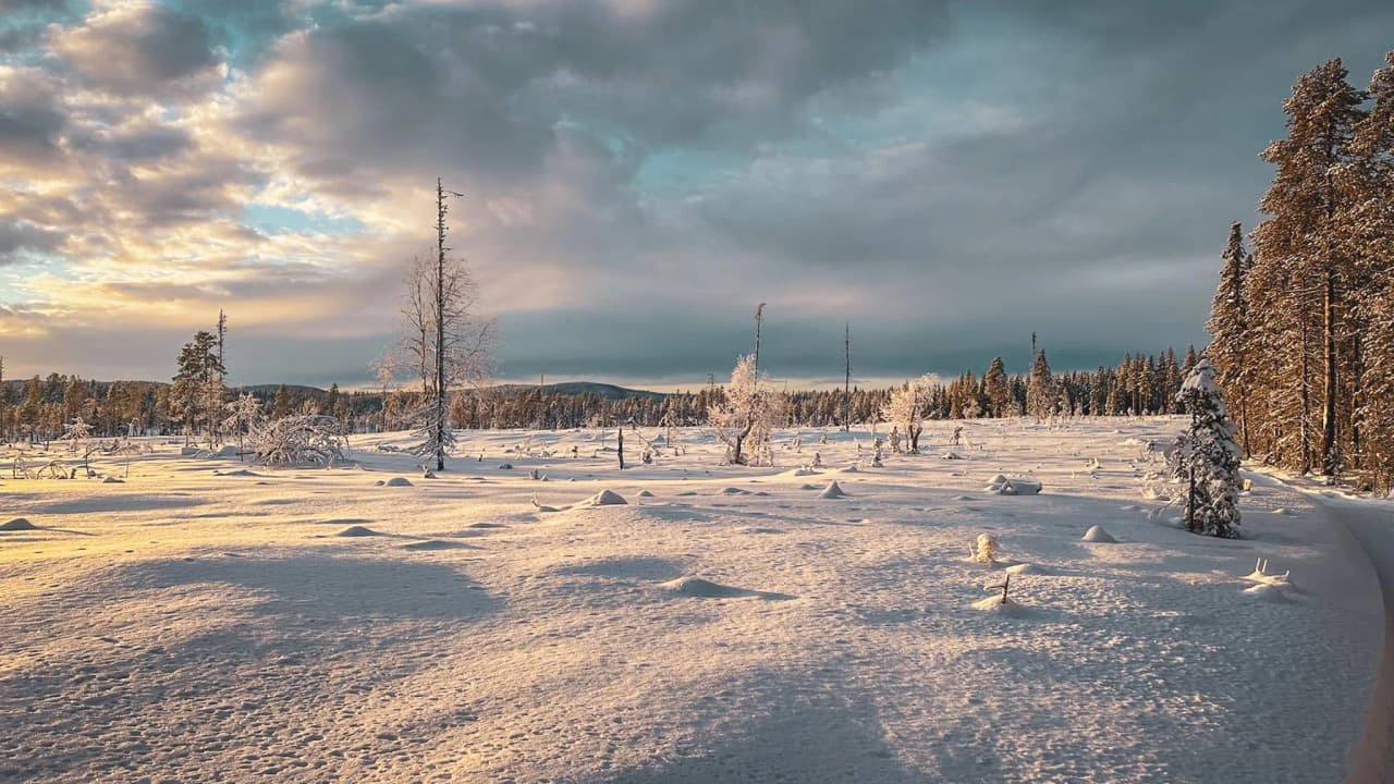 A snow-covered landscape in Lapland, luminous under a cloudy sky, inviting adventure.