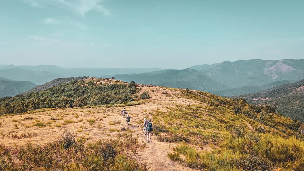 Randonneurs marchant dans les Cévennes, paysages verdoyants sous un ciel éclatant.