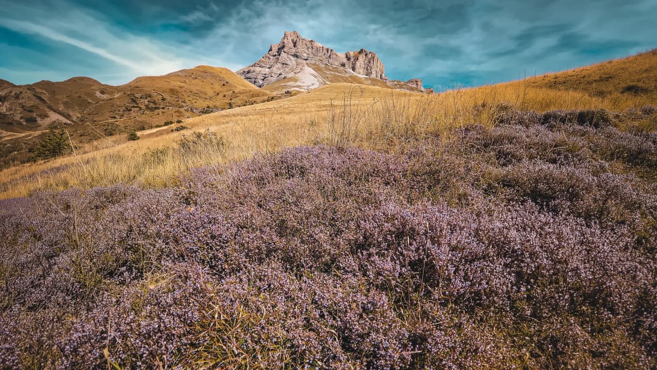 Een betoverend landschap in de Franse Dolomieten, met bloemrijke weiden en majestueuze bergkammen.