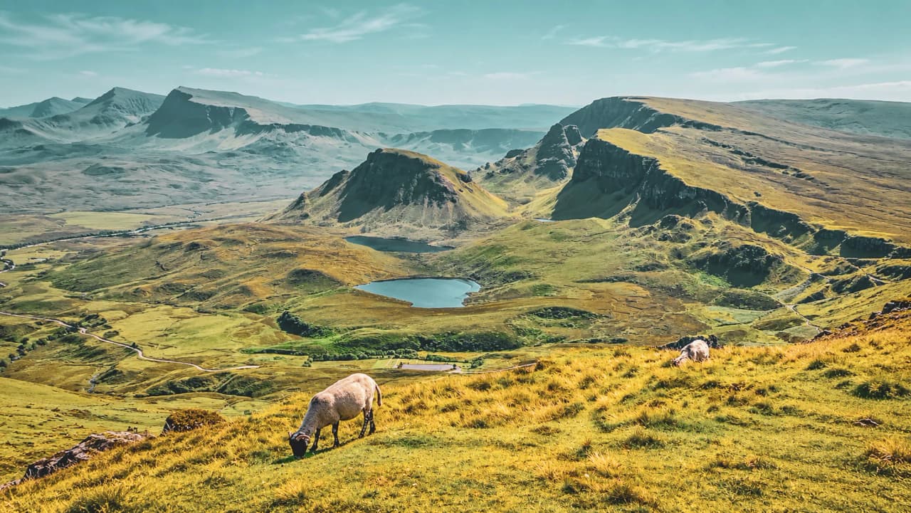 De majestueuze landschappen van het eiland Skye, schapen die grazen op groene heuvels en glinsterende meren.