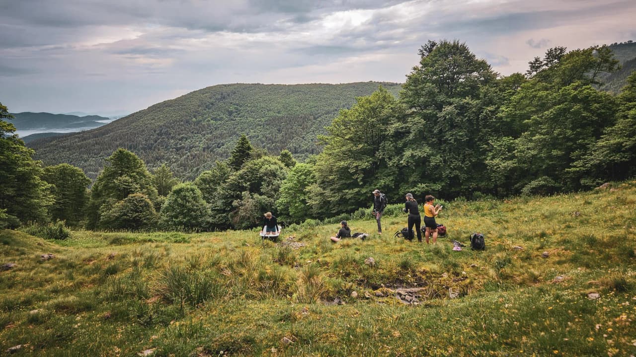 Three hikers admire a green panorama of the Vosges under a brilliant blue sky.