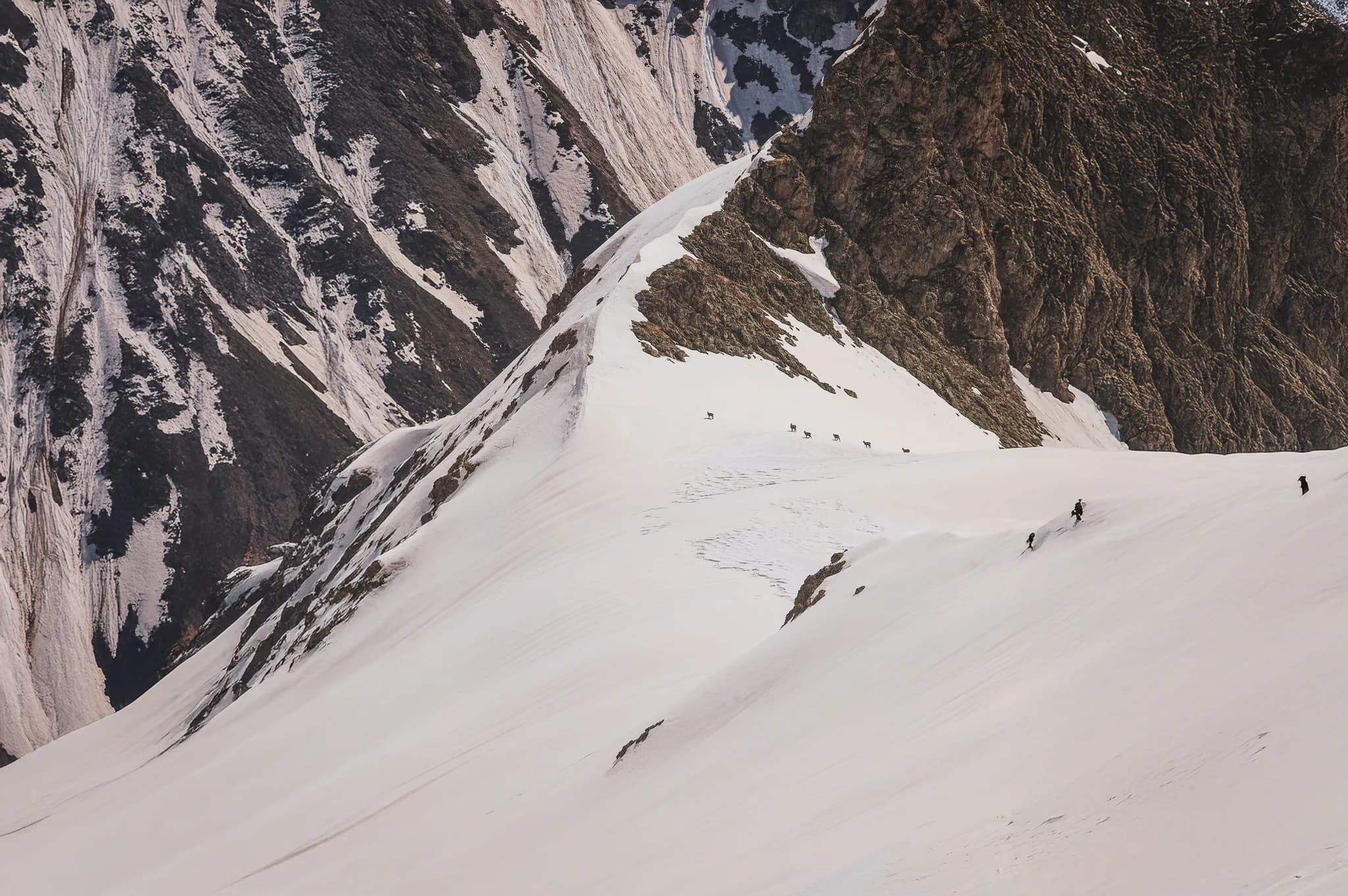 Un paysage montagneux couvert de neige, avec des sommets escarpés et des pentes douces. Au premier plan, des traces dans la neige indiquent un chemin, tandis que plusieurs randonneurs gravitent sur la crête,