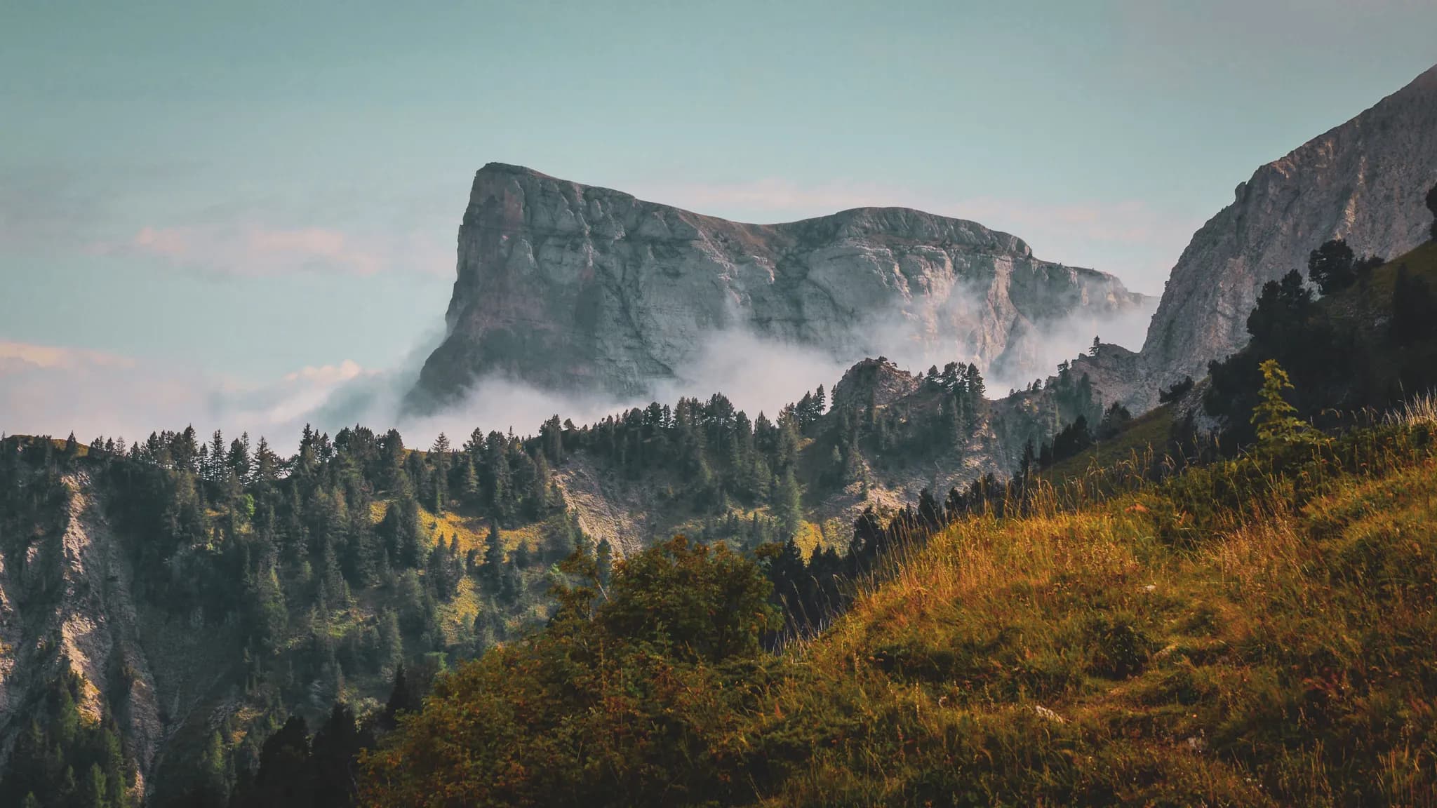 A majestic mountain landscape with steep peaks shrouded in mist. In the foreground, a vast expanse of greenery and pine trees, while in the background, a high mountain rises up, accentuated by