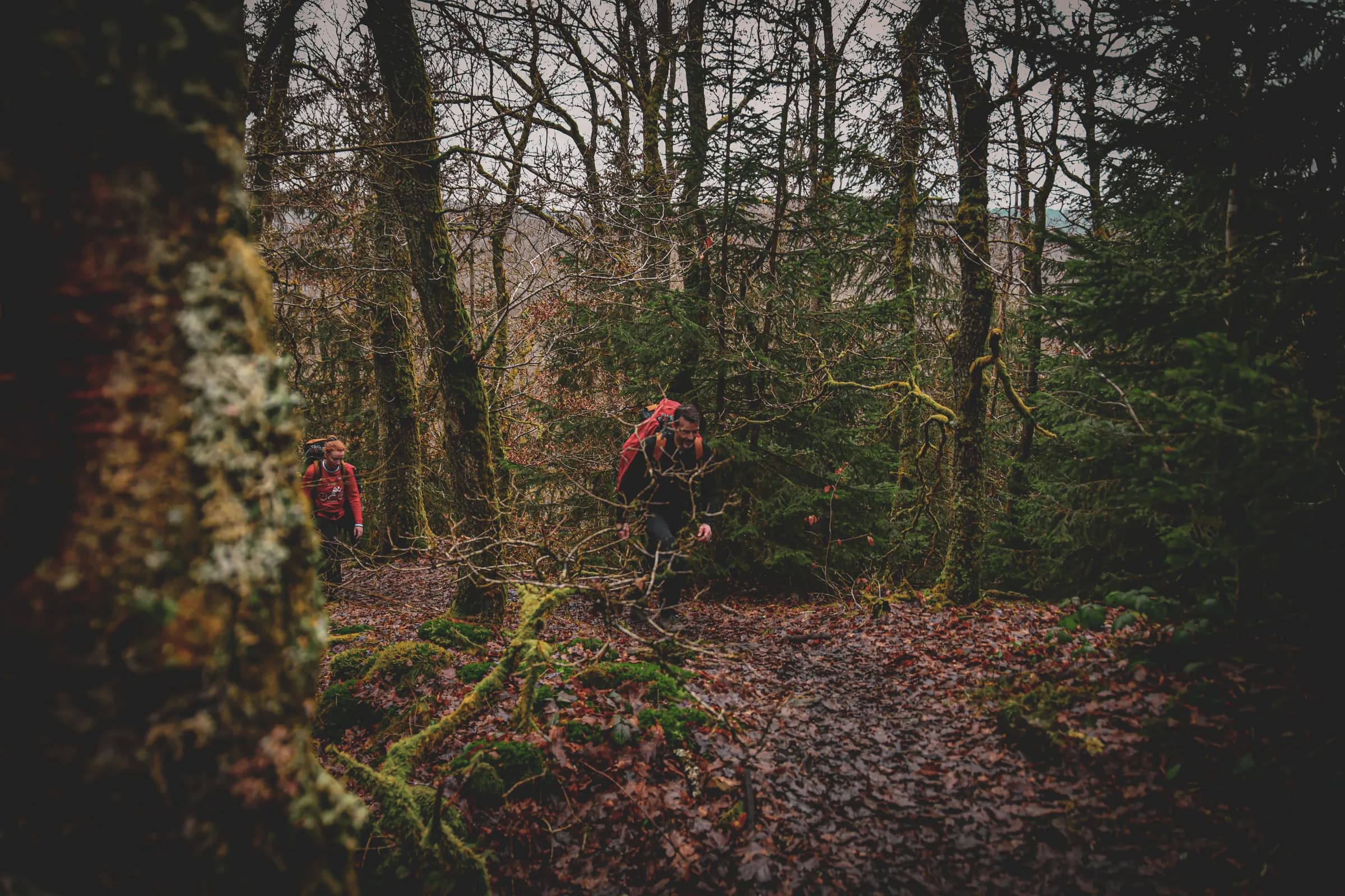 Twee wandelaars lopen door een dicht, vochtig bos, omringd door bomen waarvan sommige bedekt zijn met mos. De grond ligt bezaaid met dode bladeren, wat een herfstachtige sfeer creëert. Een van de wandelaars