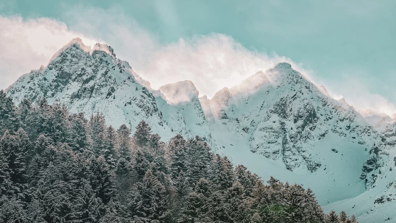 Snow-capped mountains overlooking lush green forest, an idyllic landscape for a wilderness adventure.