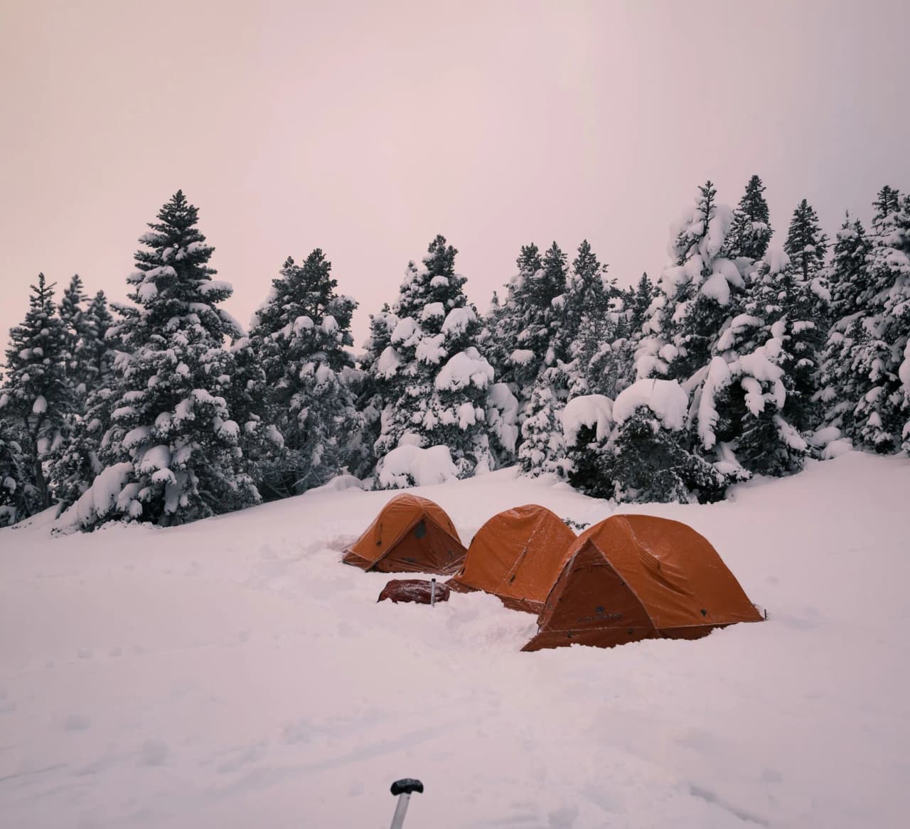 Bivouac sous un ciel pastel, tentes orange émergent d'un paysage enneigé du Vercors.