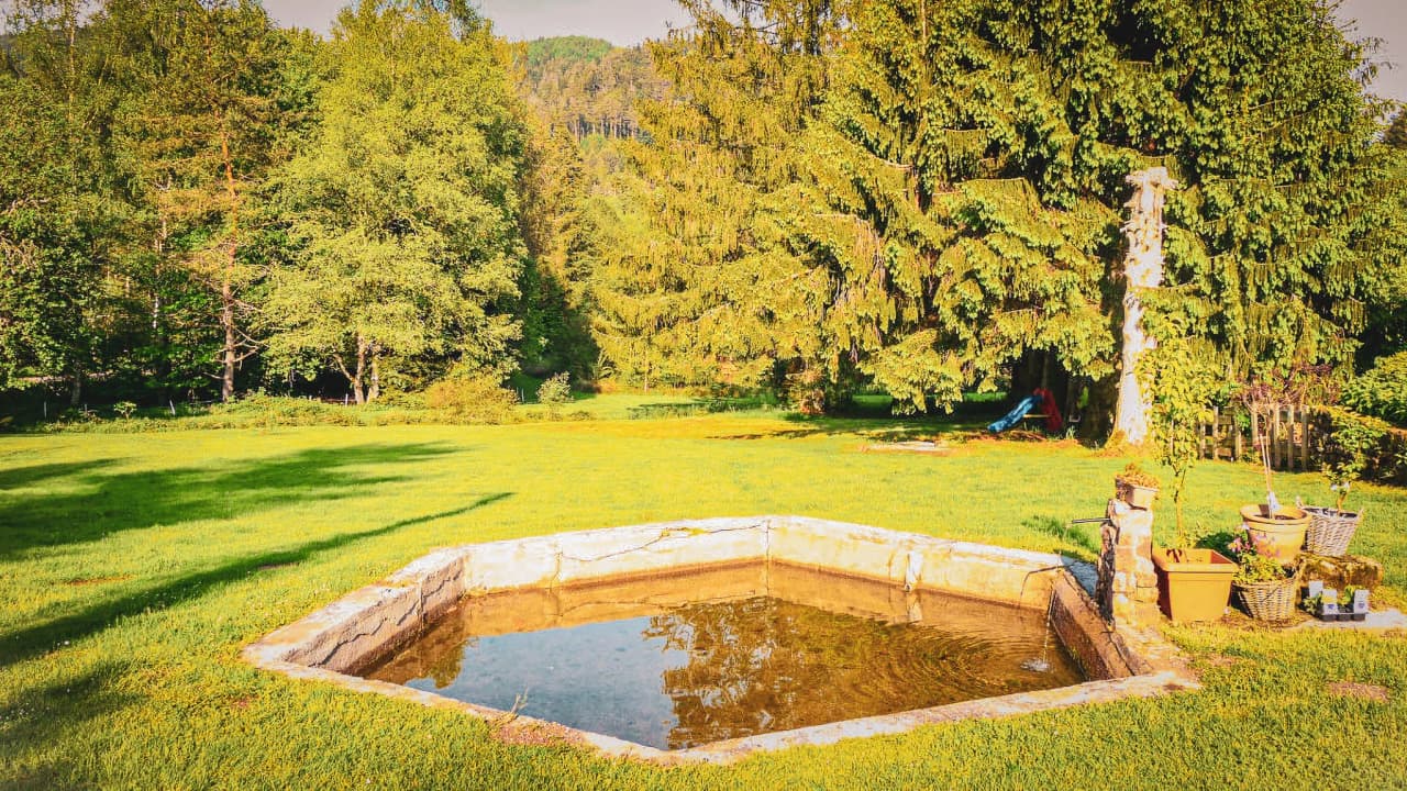 A peaceful forest valley with a Nordic bath, surrounded by greenery and majestic trees.