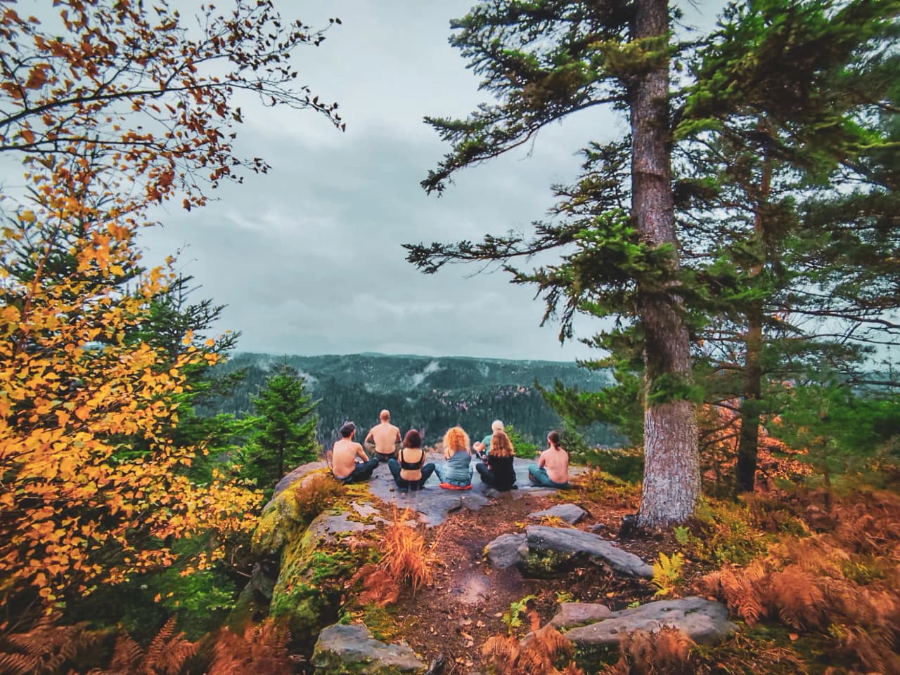Groep mensen overdenkt een herfstig boslandschap vanaf een rots.
