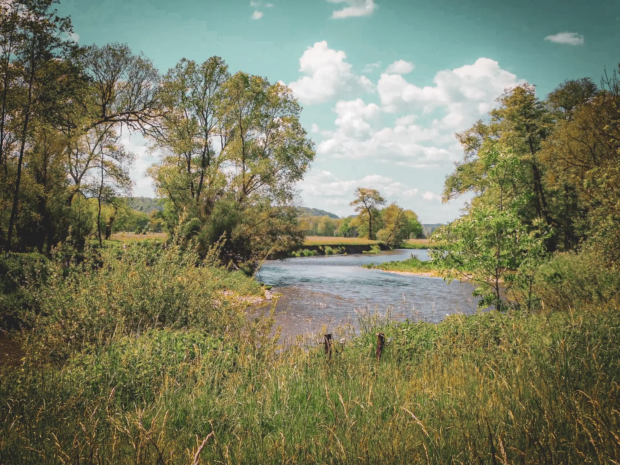 A natural landscape with a river winding through a green valley. Leafy trees line the banks and tall grasses add to the beauty of the scene. The sky is partly cloudy,