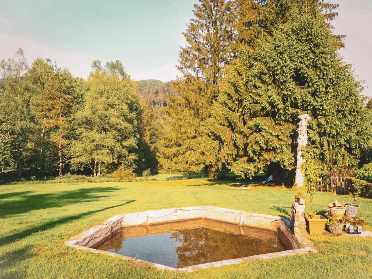 Een vredig hoekje in de natuur, met een stenen zwembad omringd door weelderige bomen, die je uitnodigen om te ontspannen.
