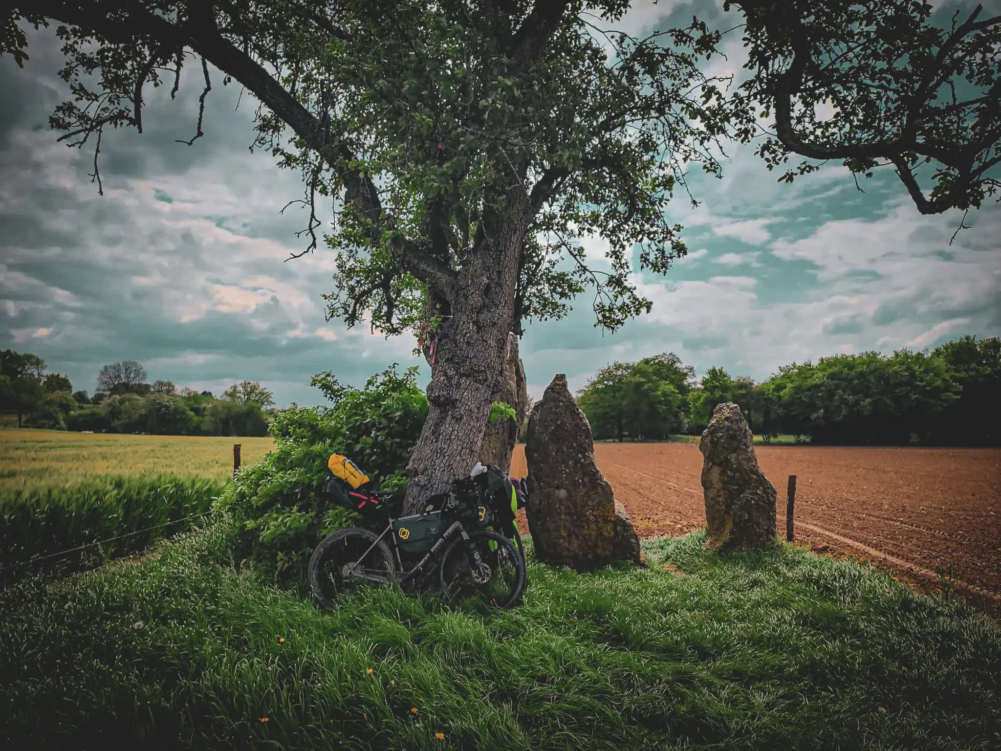 A green landscape with an imposing tree, its trunk thick and surrounded by bushes. Next to the tree, a bike loaded with bags, ready for adventure, is parked. In the background