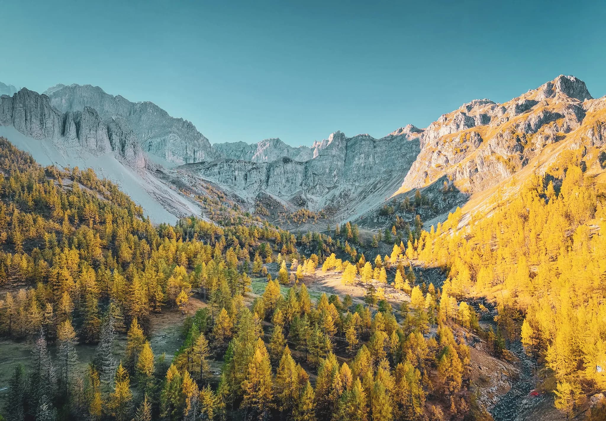 A mountainous landscape with craggy peaks and rocky cliffs. In the foreground, a vast forest of conifers, their leaves a golden hue, creating a striking contrast with the blue sky.