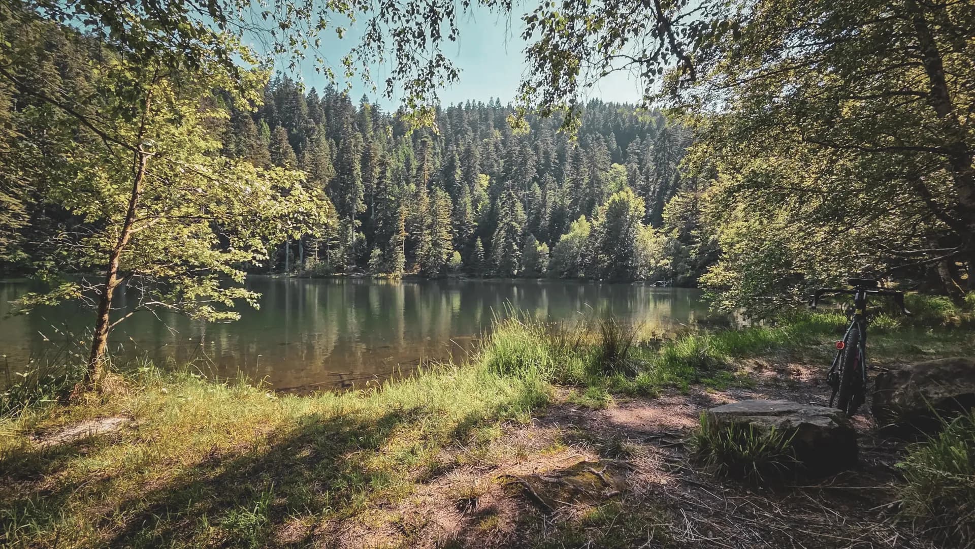 A peaceful lake surrounded by lush green forests, perfect for a nature adventure.